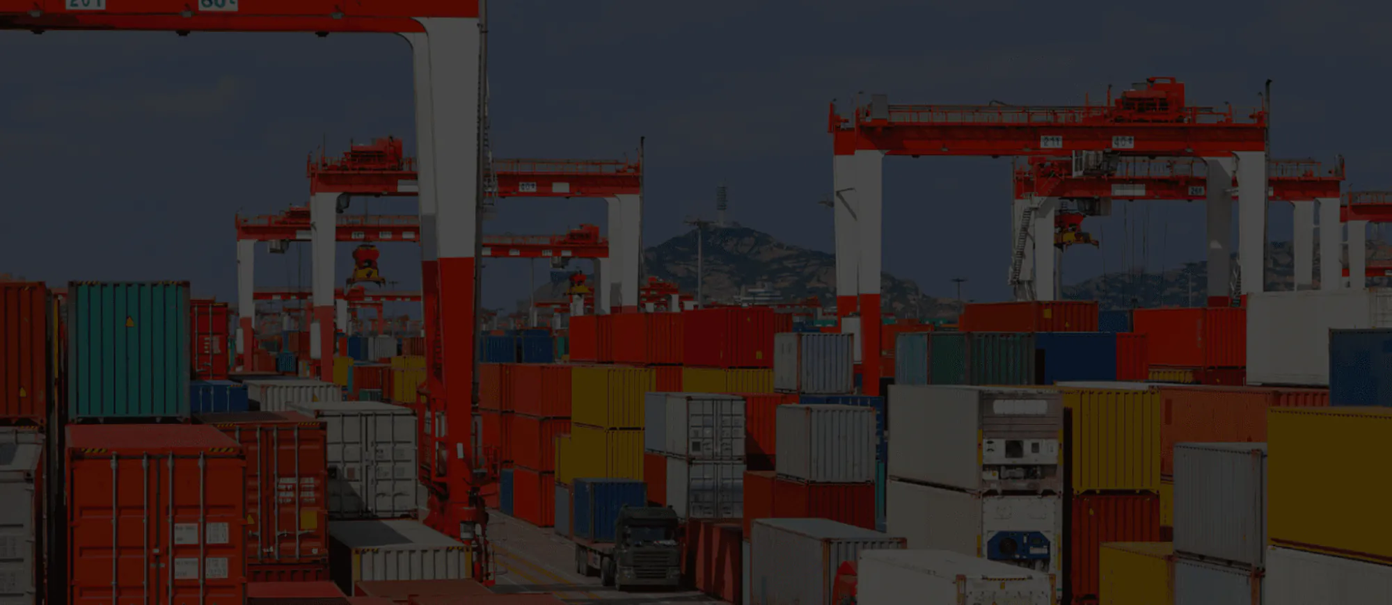 Stacks of shipping containers under quay cranes in a terminal yard
