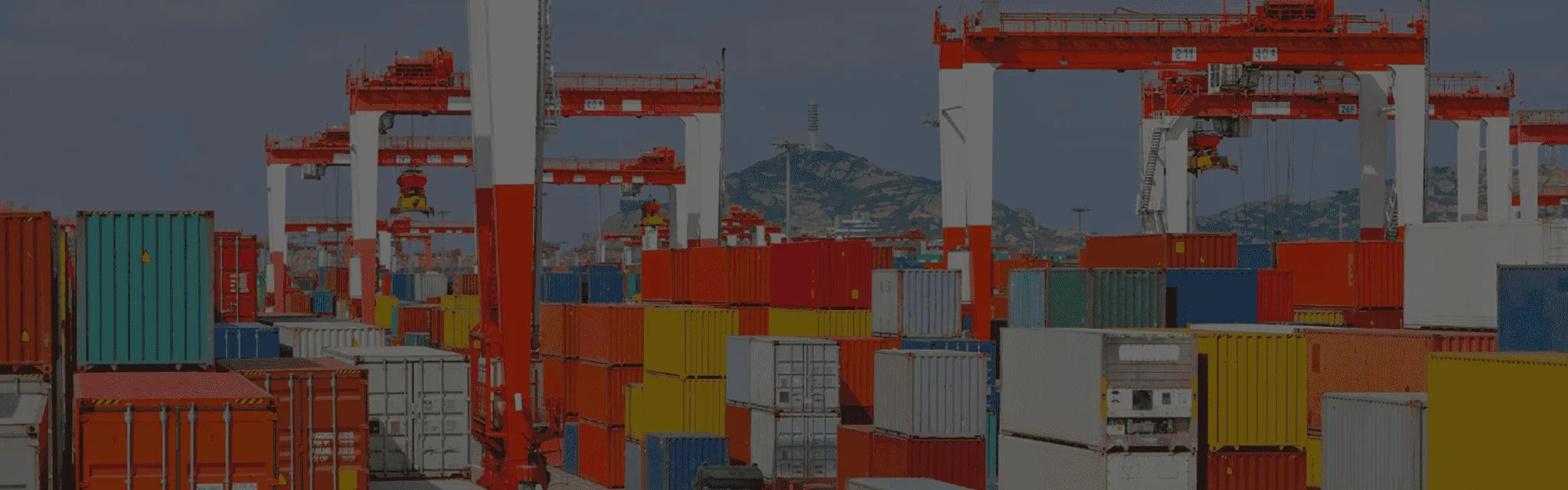 A container terminal in daylight, gantry cranes standing over the stacks